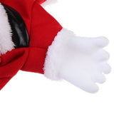 Santa Cat Costume