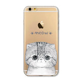 Cat iPhone Cases