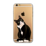 Cat iPhone Cases