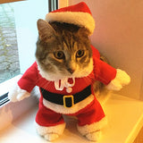 Santa Cat Costume