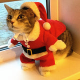 Santa Cat Costume